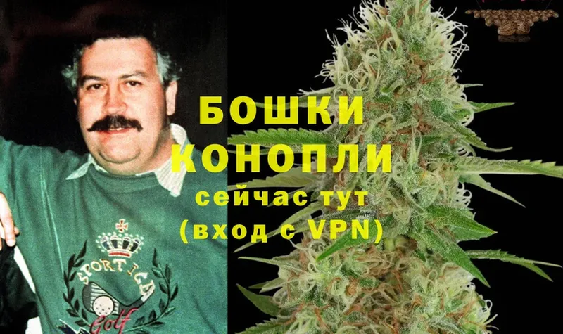 Шишки марихуана White Widow  Долинск 